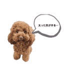 きなごま（個別スタンプ：21）