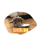 ライムのつぶやき（個別スタンプ：13）
