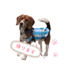 CJくんのイケメンスタンプ第1弾！（個別スタンプ：2）