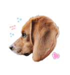 CJくんのイケメンスタンプ第1弾！（個別スタンプ：10）