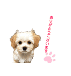 ぼんちゃん♡2（個別スタンプ：23）