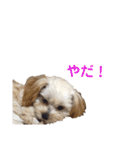 ぼんちゃん♡2（個別スタンプ：31）