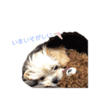 ぼんちゃん♡2（個別スタンプ：34）