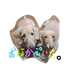 リズムモカカラフル文字スタンプ（個別スタンプ：2）