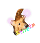 リズムモカカラフル文字スタンプ（個別スタンプ：8）
