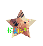 リズムモカカラフル文字スタンプ（個別スタンプ：14）