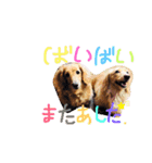 リズムモカカラフル文字スタンプ（個別スタンプ：17）