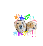 リズムモカカラフル文字スタンプ（個別スタンプ：20）