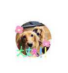 リズムモカカラフル文字スタンプ（個別スタンプ：23）