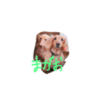 リズムモカカラフル文字スタンプ（個別スタンプ：28）