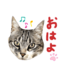 ここあとちびスタンプ。♡（個別スタンプ：3）