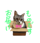 ここあとちびスタンプ。♡（個別スタンプ：7）