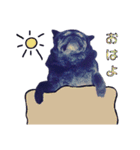黒パグこてつ（個別スタンプ：1）