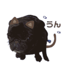 黒パグこてつ（個別スタンプ：12）