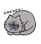 黒パグこてつ（個別スタンプ：23）