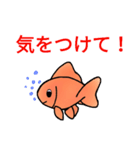 金魚好き（個別スタンプ：8）