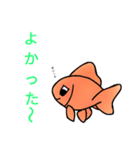 金魚好き（個別スタンプ：17）