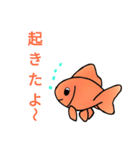 金魚好き（個別スタンプ：18）