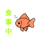 金魚好き（個別スタンプ：19）