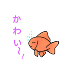 金魚好き（個別スタンプ：20）