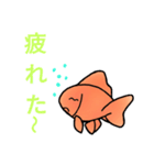 金魚好き（個別スタンプ：35）