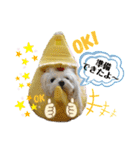 おフクとミルク（個別スタンプ：1）
