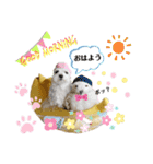 おフクとミルク（個別スタンプ：2）