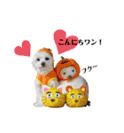 おフクとミルク（個別スタンプ：3）