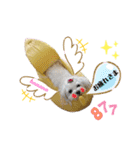 おフクとミルク（個別スタンプ：5）
