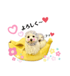 おフクとミルク（個別スタンプ：6）