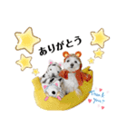 おフクとミルク（個別スタンプ：7）
