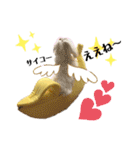 おフクとミルク（個別スタンプ：9）