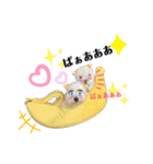 おフクとミルク（個別スタンプ：16）