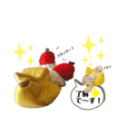 おフクとミルク（個別スタンプ：17）