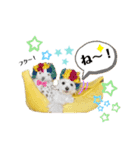 おフクとミルク（個別スタンプ：23）