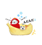 おフクとミルク（個別スタンプ：26）