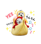 おフクとミルク（個別スタンプ：29）