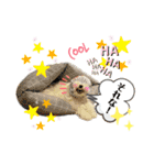 おフクとミルク（個別スタンプ：30）
