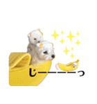 おフクとミルク（個別スタンプ：32）