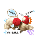 おフクとミルク（個別スタンプ：36）