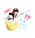 おフクとミルク（個別スタンプ：38）