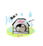 おフクとミルク（個別スタンプ：39）