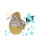 おフクとミルク（個別スタンプ：40）