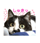 クロ＆ハッチ  その陸（個別スタンプ：1）