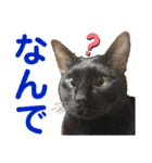 クロ＆ハッチ  その陸（個別スタンプ：2）