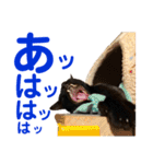 クロ＆ハッチ  その陸（個別スタンプ：6）