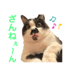 クロ＆ハッチ  その陸（個別スタンプ：8）