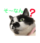 クロ＆ハッチ  その陸（個別スタンプ：12）