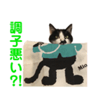 クロ＆ハッチ  その陸（個別スタンプ：16）