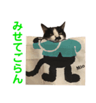 クロ＆ハッチ  その陸（個別スタンプ：17）
